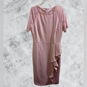 NWOT Elegant Pink Lace Sleeve Dress